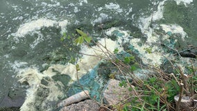 Several Minneapolis lakes experiencing algae blooms, others remain susceptible: MPRB