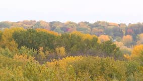 Minnesota fall colors: What this year's colors will look like, and where to find them
