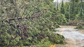 Storm downs hundreds of trees in northern Minnesota