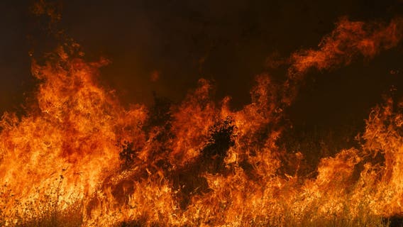 University of Minnesota study shows prescribed burns revive prairie lands