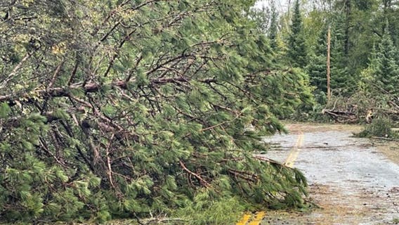 Storm downs hundreds of trees in northern Minnesota
