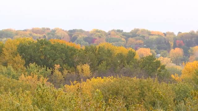 Minnesota fall colors: What this year's colors will look like, and where to find them
