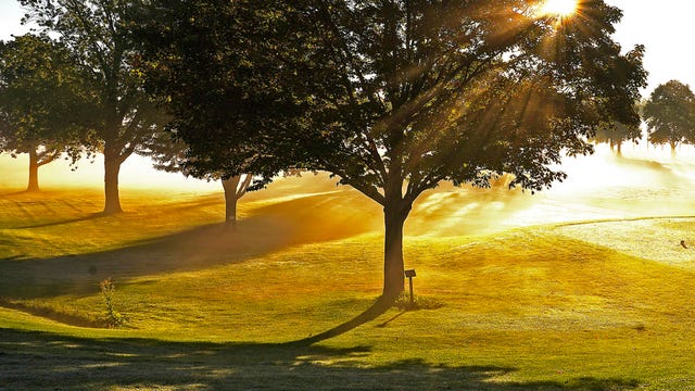 Minnesota getting $33M for trees, green spaces: Here's where they'll be planted