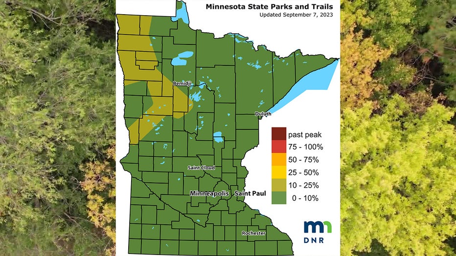 Minnesota Fall Colors: What This Year's Colors Will Look Like, And ...