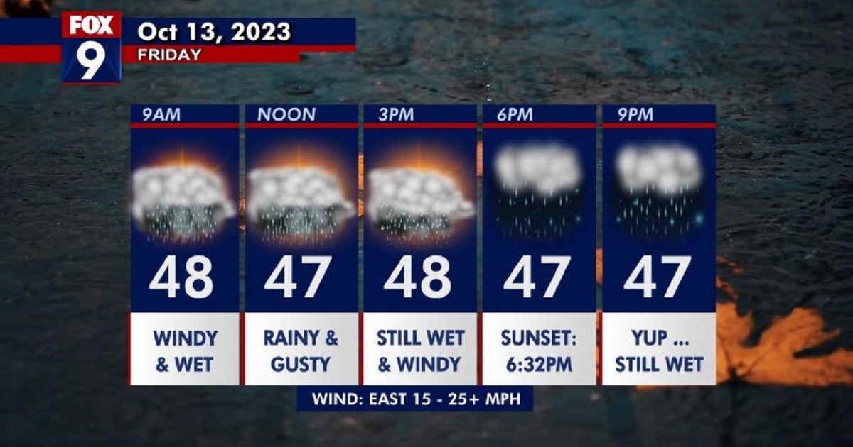 Minnesota weather: Heavy rain and gusty winds | FOX 9 Minneapolis-St. Paul