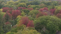 Things to do in Minnesota: 5 things to do this weekend (Oct. 3–4)