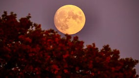 October 2023 full 'Hunter's Moon' to light up sky this weekend