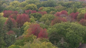 St. Paul opens up water tower for fall foliage viewing