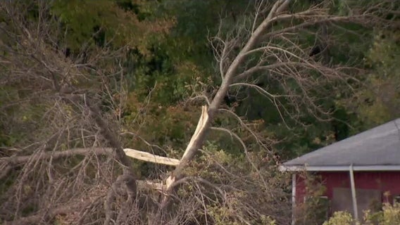 Horse barn damaged in storm gets cleanup help from customers