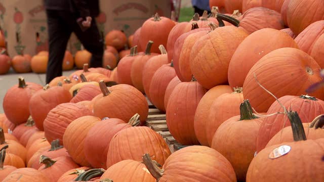Trick-or-treaters prepare for chilly Halloween in Twin Cities