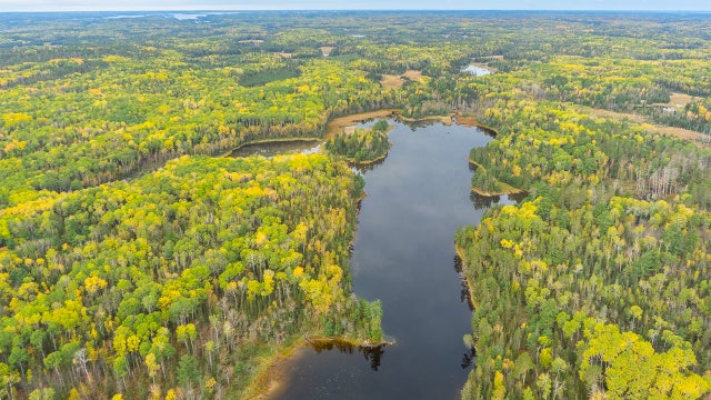 Voyageurs Wolf Project offers glimpse of moose, fall colors in northern Minnesota