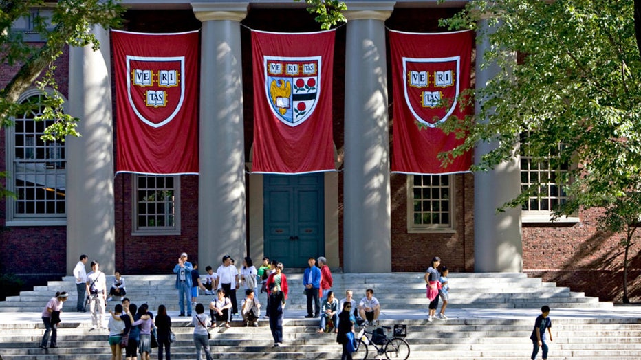 Harvard-banners.jpg