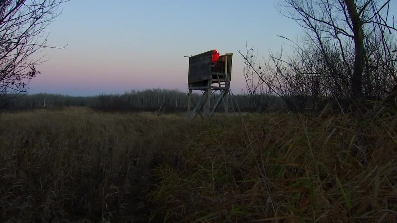 Firearms Deer Hunting Season Opens In Minnesota Dnr Urges Safety 6832