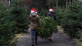 What to do in Minnesota: 5 things to do this weekend (Dec. 9-11)