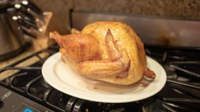 What Thanksgiving foods your pet can and can’t eat