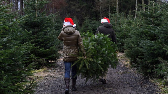 What to do in Minnesota: 5 things to do this weekend (Dec. 9-11)