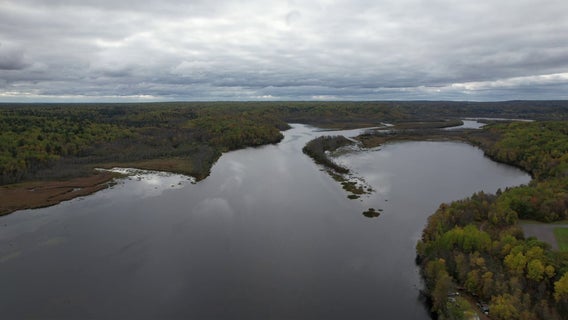 More than 140 lakes, rivers and streams in Minnesota had fish contaminated with forever chemicals