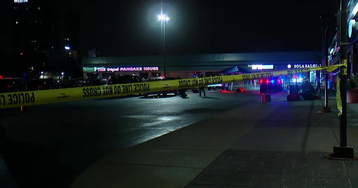 Man killed in shooting at Edina strip mall parking lot | FOX 9 ...