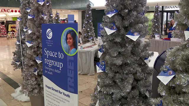 Catholic Charities Giving Tree raises awareness to trauma informed care with therapy animals