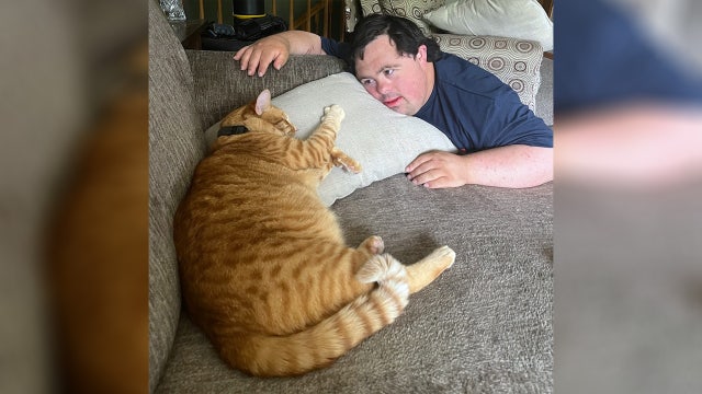 Beloved cat found shot, paralyzed by pellet gun; Cottage Grove family seeks information