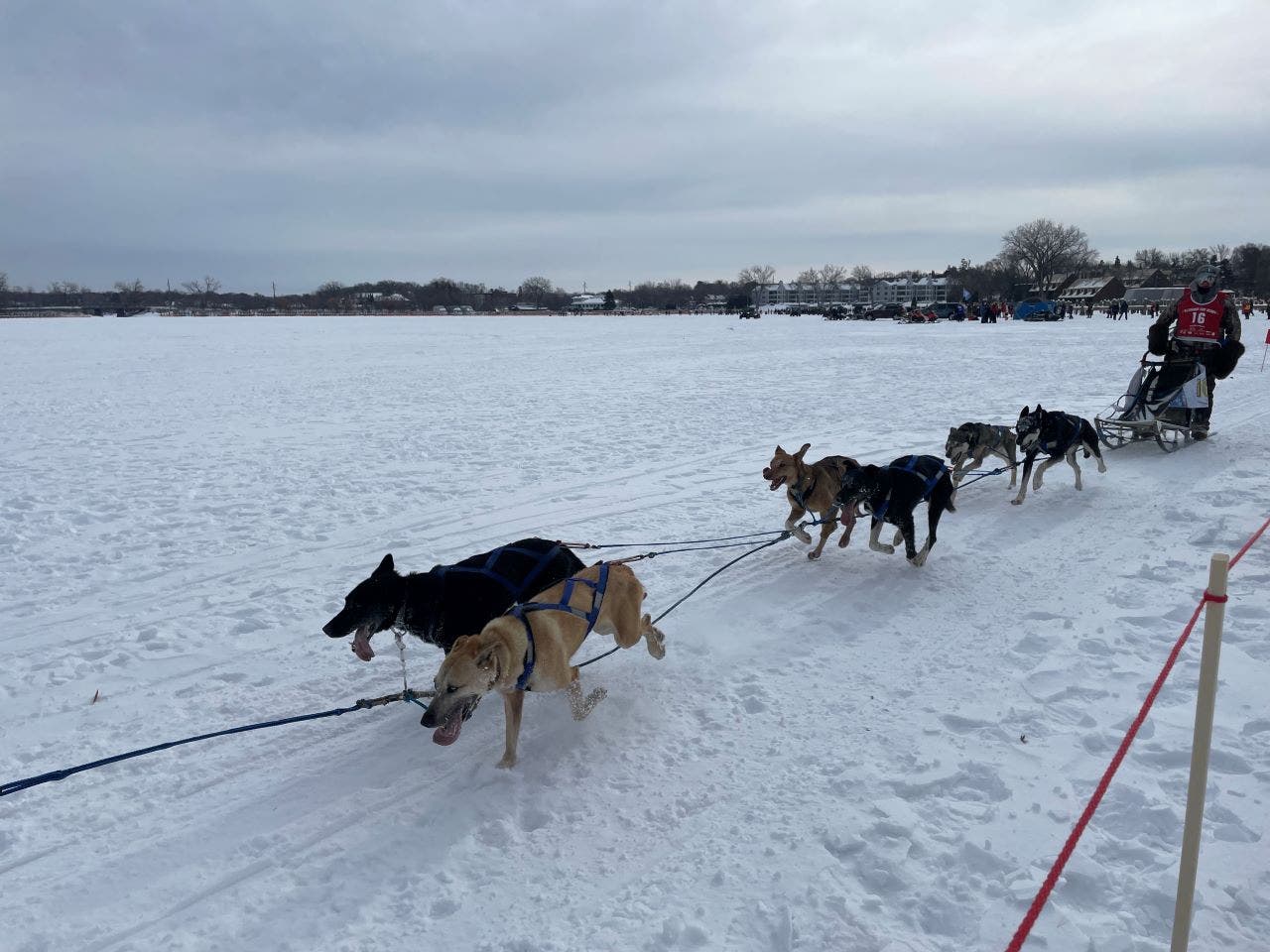 Lake Minnetonka Klondike Dog Derby canceled for third year in a row