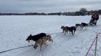 Lake Minnetonka Klondike Dog Derby canceled for third year in a row