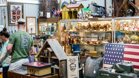 What to do in Minnesota: 5 things to do this weekend (Jan. 19-21)