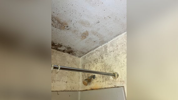 Minnesota AG Ellison files wage theft lawsuit against large local dairy farm