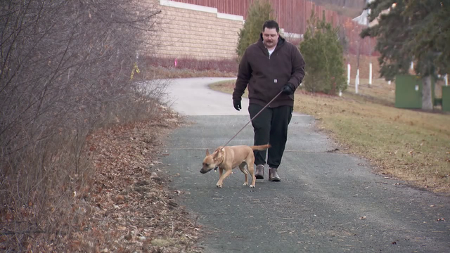 14 dogs rescued from animal neglect charges find homes