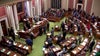 Minnesota legislator term limits vote focus of new bill in state Senate
