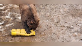 Duluth Fire Department hoses repurposed into animal enrichment toys