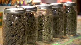 Teen marijuana use concerning among addiction officials