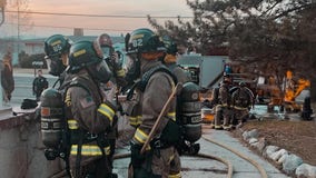Nine puppies killed in house fire as crews work to determine cause