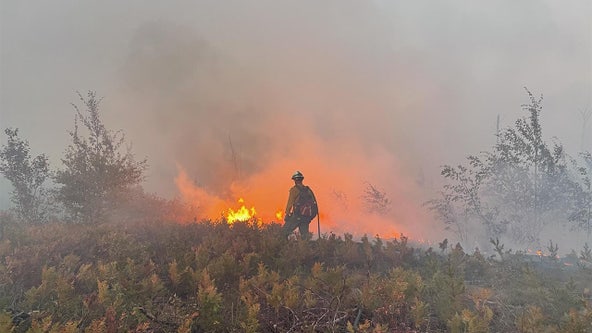 Minnesota wildfire season starting early, DNR warns