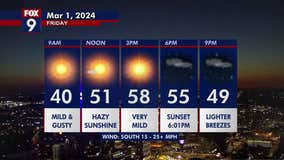 Kmsp fox 2025 9 live stream