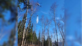 Drone interrupts wildfire battle near Split Rock Lighthouse in northern MN