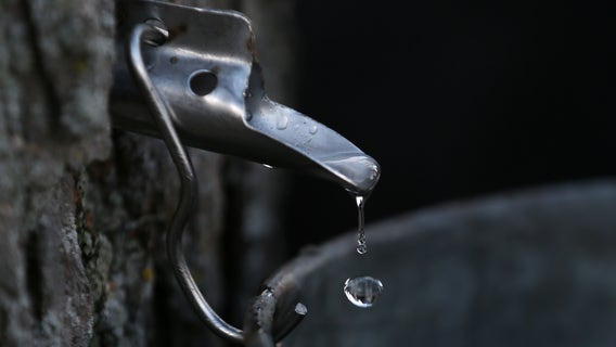 What to do in Minnesota: 5 things to do this weekend (March 22-24)