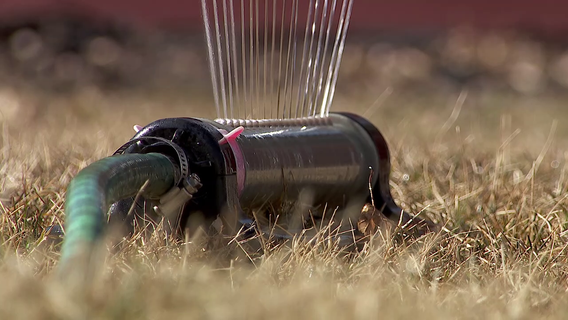 Minnesota lawn care advice offered ahead of early spring