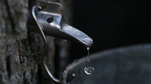 What to do in Minnesota: 5 things to do this weekend (March 22-24)