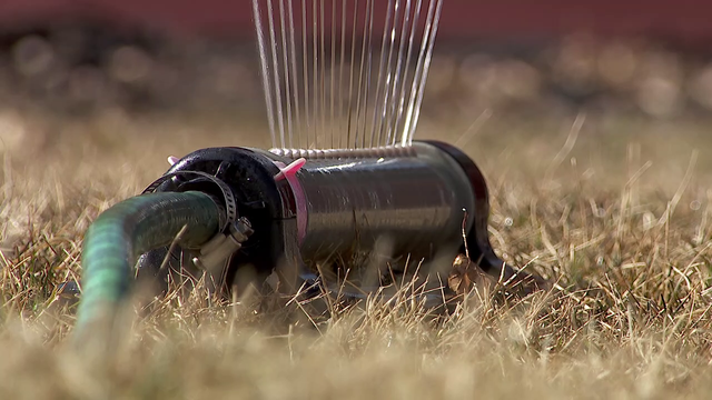 Minnesota lawn care advice offered ahead of early spring