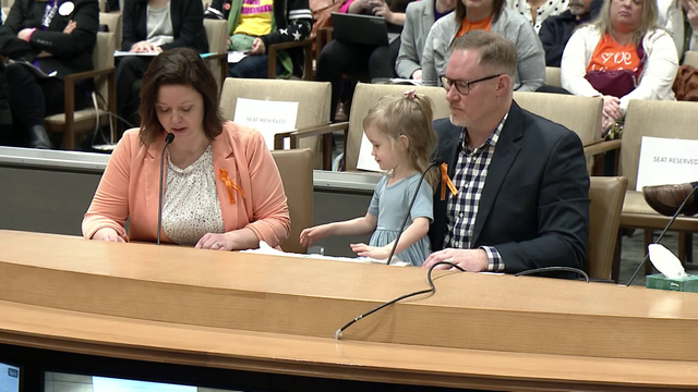 IVF, abortion and trans care coverage mandates considered by MN lawmakers