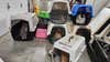 Over 100 cats rescued from central Minnesota home amid reports of animal cruelty