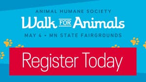 Join the Walk for Animals 