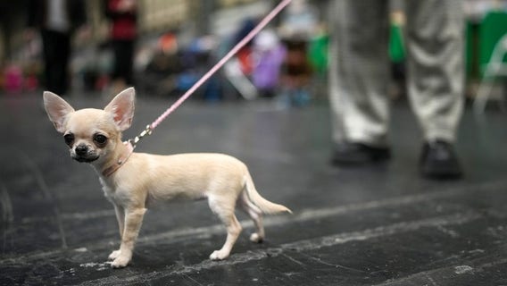 What to do in Minnesota: 5 things to do this weekend (April 26-28)