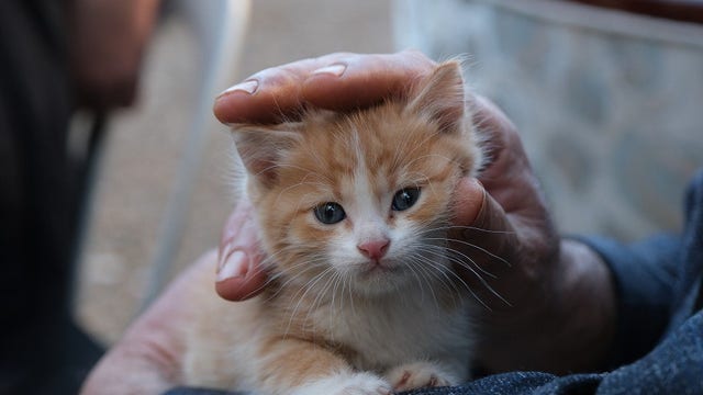 What to do in Minnesota: 5 things to do this weekend (May 3-5)