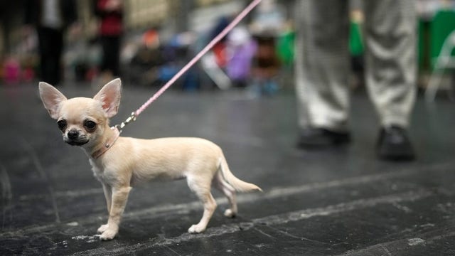 What to do in Minnesota: 5 things to do this weekend (April 26-28)