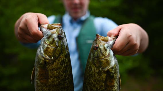 Minnesota DNR adds 18 new fish species to official catch-and-release state records
