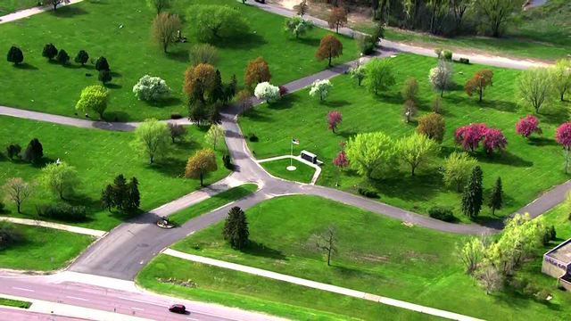 Tree branch falls during Burnsville funeral, 1 in critical condition