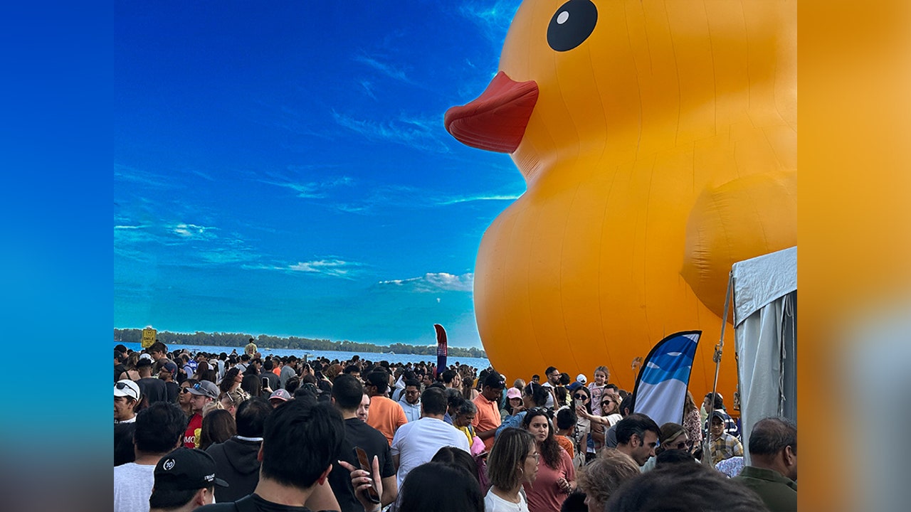 Giant rubber duck sets sail in Minnesota this weekend