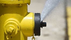 Vandals open fire hydrants, depleting Cokato water supply
